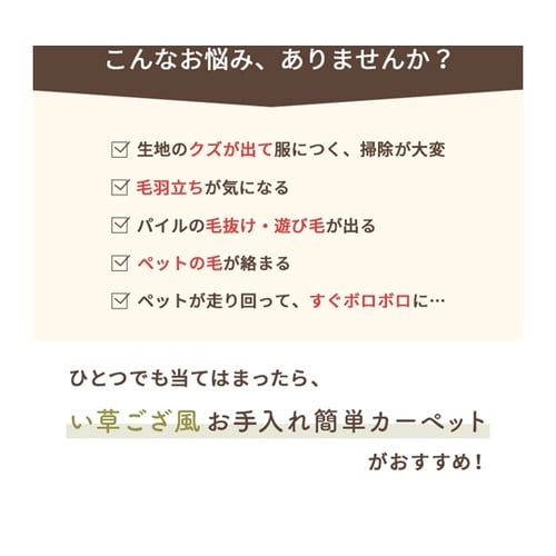 洗える ござ風カーペット ブラウン 1畳