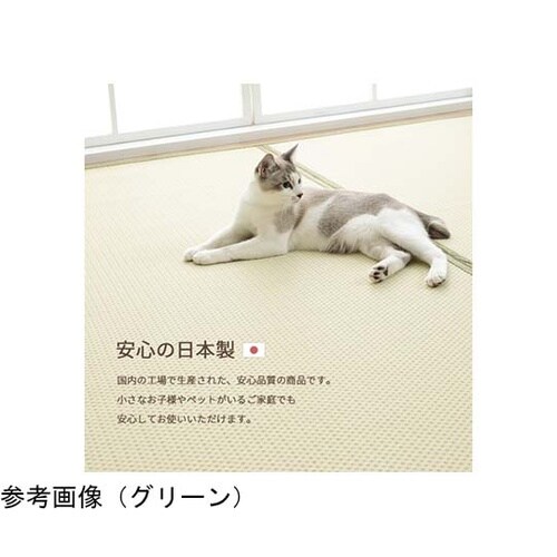 洗える ござ風カーペット ブラウン 1畳