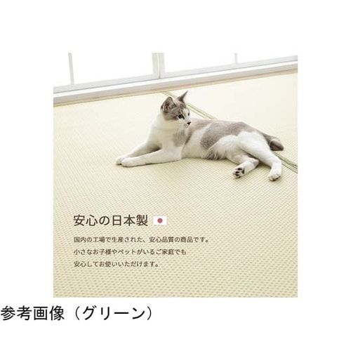 洗える ござ風カーペット グリーン 1畳