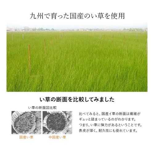 い草シーツ ブルー セミダブル 約110