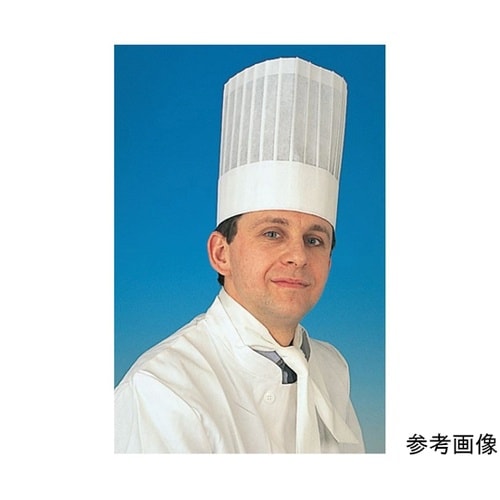 トックブランシュネオ(10枚入)H300