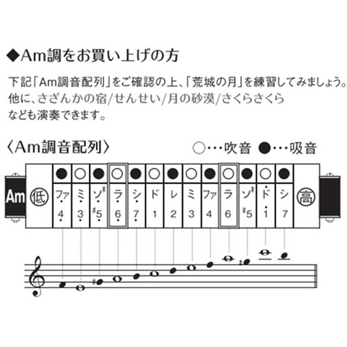 13穴複音ハーモニカ ハミングメイト A