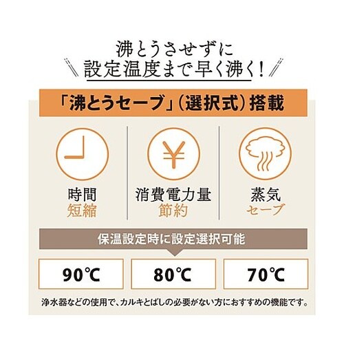 AC100V/700W(3.0L) 沸