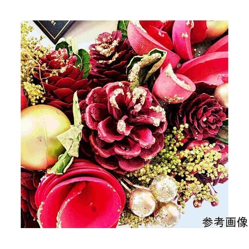 ナチュラルリース レッド【クリスマス飾り