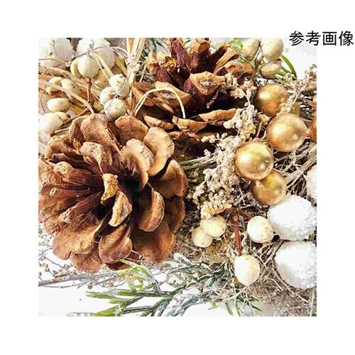 ナチュラルリース ゴールド【クリスマス飾