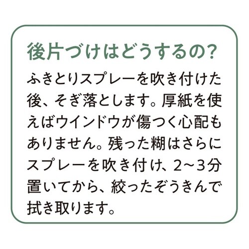 スノースプレーパウダー 300mL 38