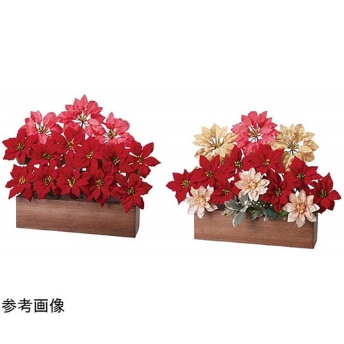 デラックスポインセチアプラン ターレッド