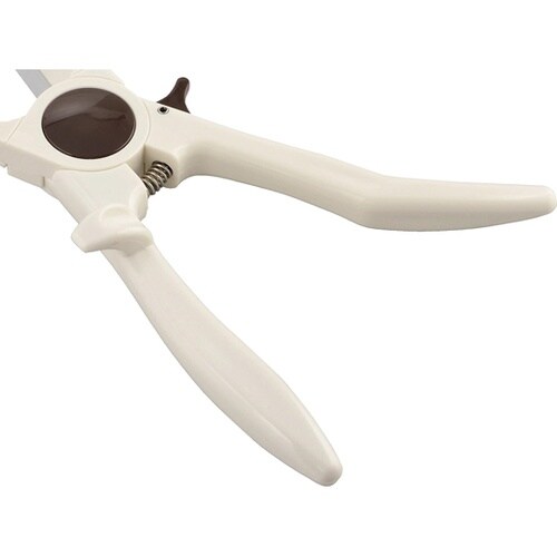 グッドモア 栗の鬼皮・渋皮むき GR−6