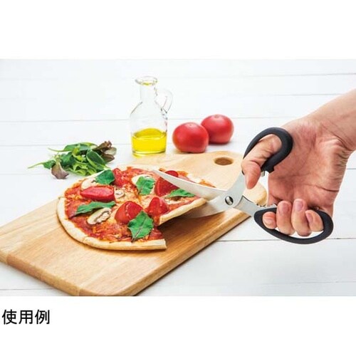 プログレード カーブ刃はさみ PG−40