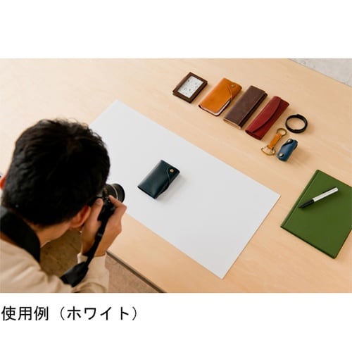 THE DESKMAT 10 レザー調P