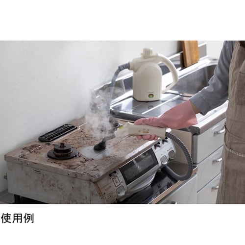 スチームクリーナーハンディタイプ アイボ