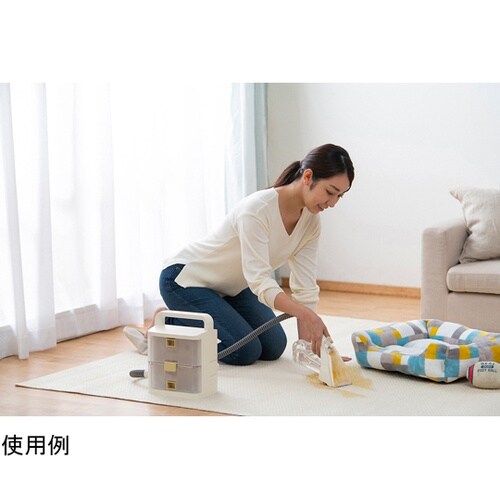 コードレスリンサークリーナー アイボリー