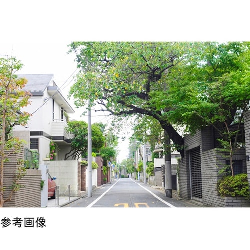 充電式ポールチェーンソー JPC1518