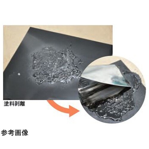 洗浄剤 パツキンハガシ 300 0000