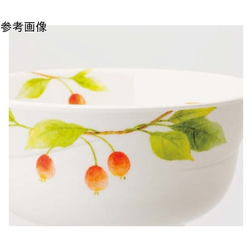 角小鉢 詩緒里 10個入 M−138SH