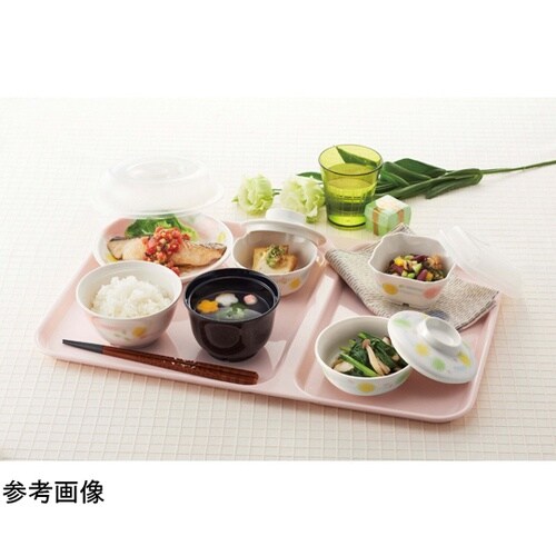 小皿 エルシー 20個入 G−453LC