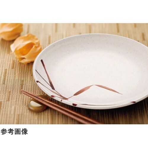 16.5cm 菜皿 志野 10個入 G−