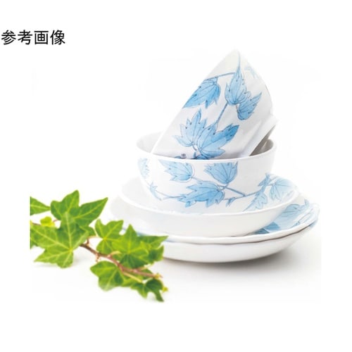 飯茶碗(身) アイビー 10個入 YG−