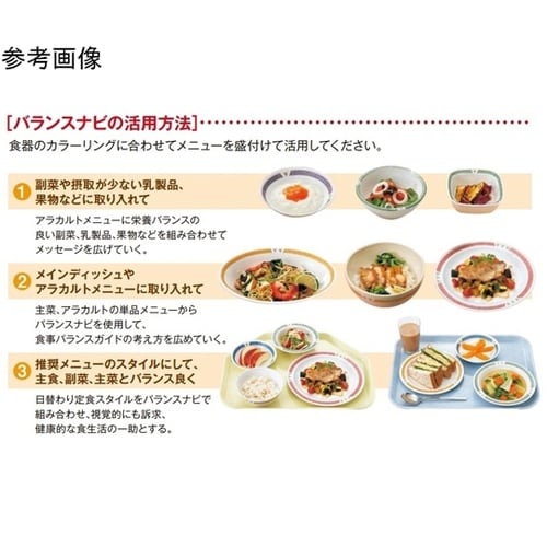 ベーカー バランスナビ 10個入 MT−