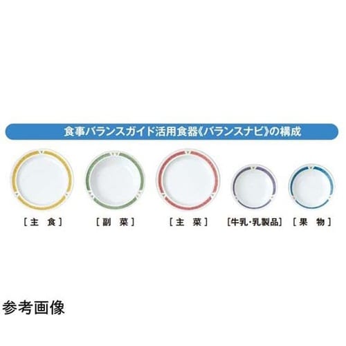 多用鉢 バランスナビ 10個入 Y−16