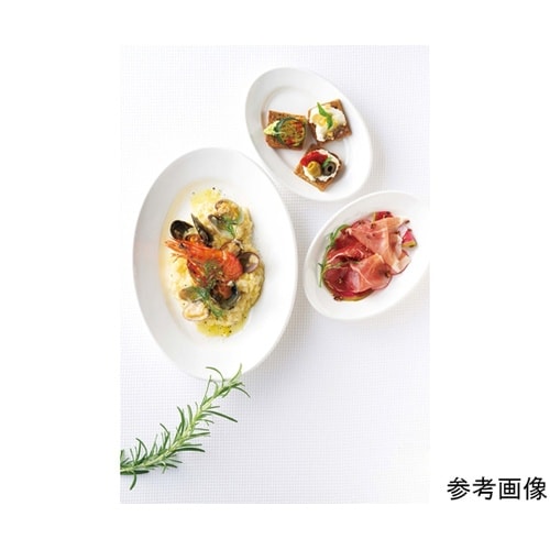 25cm 丸皿 パルホワイト 40個入