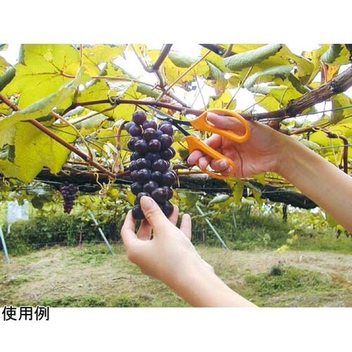 ぶどう鋏デラックス直刃 BP 320DX
