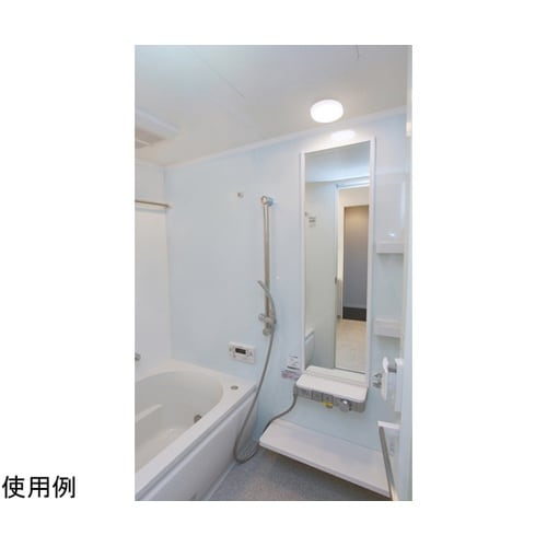 ポーチ・浴室灯 円型 500lm昼白色