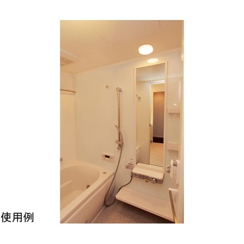 ポーチ・浴室灯 円型 500lm電球色