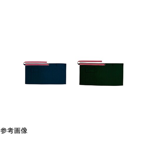 CAREAN エプロン 019−2 ネイ