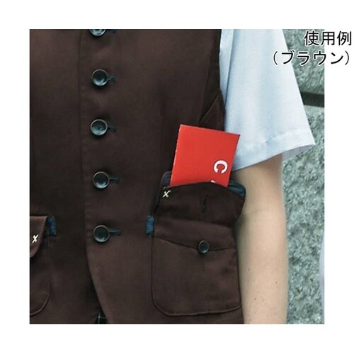 CAREAN ベスト PLAIN SER