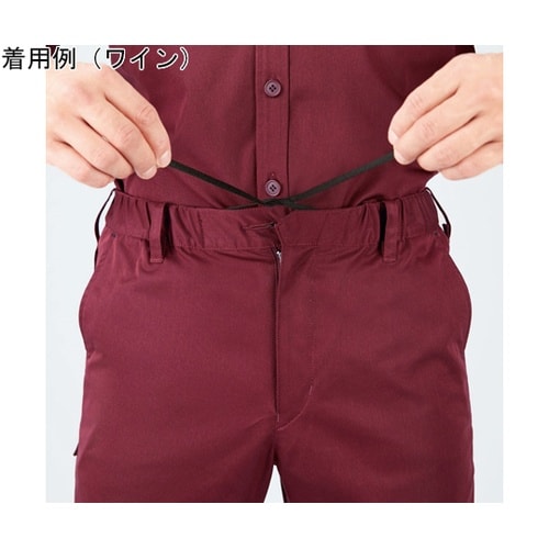 CAREAN パンツ MATT TWIL