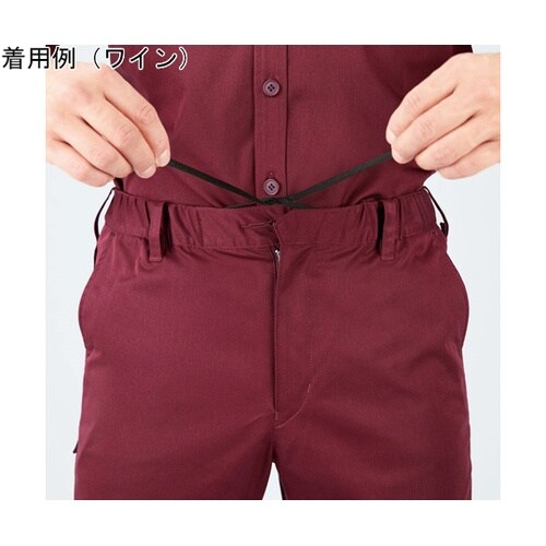 CAREAN パンツ MATT TWIL