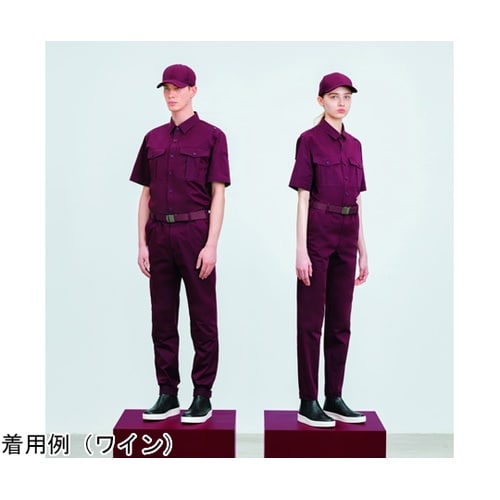 CAREAN 半袖シャツ MATT TW