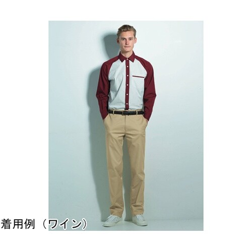 CAREAN 長袖シャツ VARIETY