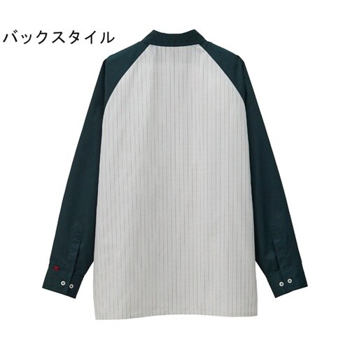 CAREAN 長袖シャツ VARIETY