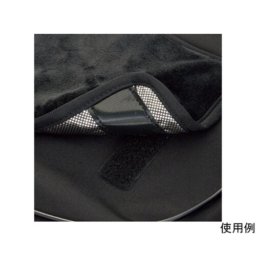 CAREAN アクセサリ どこでもスーツ