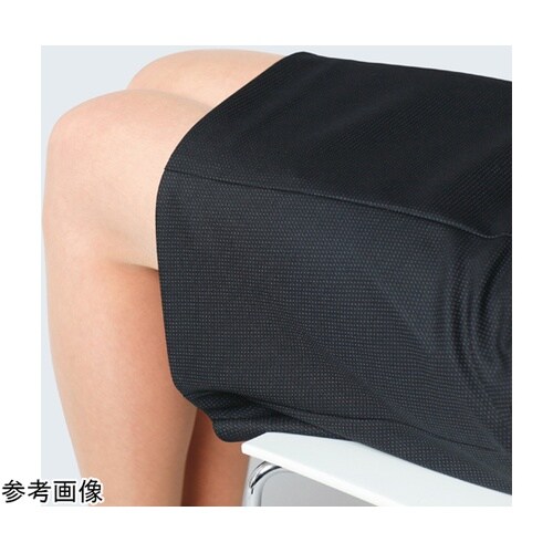 ENJOY セミタイトスカート 美スラッ