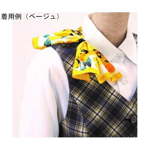 ENJOY ベスト CLAIRE CHE