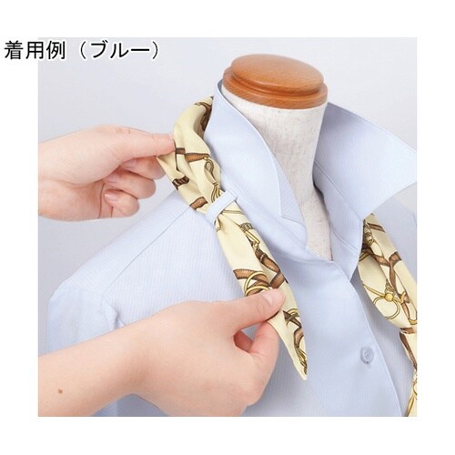 ENJOY シャツブラウス Softka