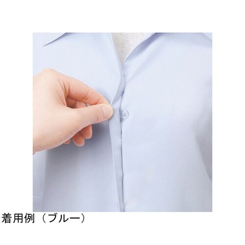 ENJOY 半袖ブラウス Softkar