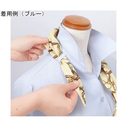 ENJOY 長袖ブラウス Softkar