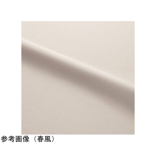 HEARTGREEN パンツ AIR T