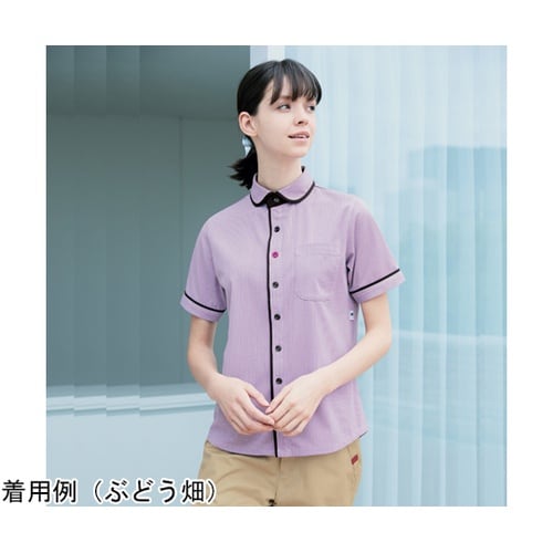 HEARTGREEN 半袖ニットシャツ