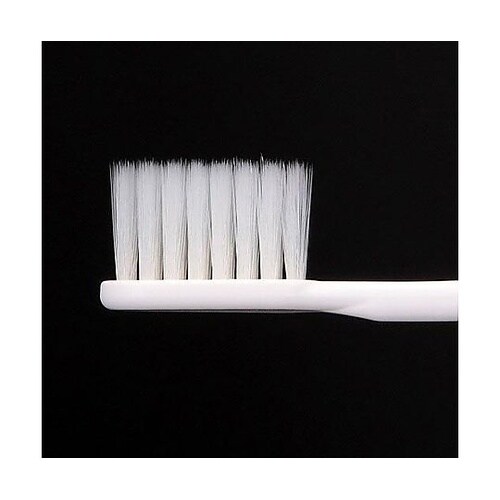 歯ブラシ(システマ/レギュラー/ふつう/