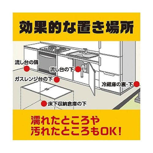 デスモアプロ 最後の晩餐 トレータイプ