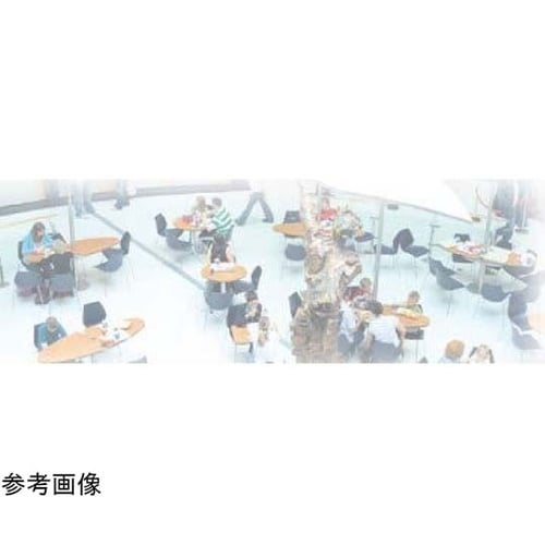 アクセサリー 紙スプーンSS クローバー