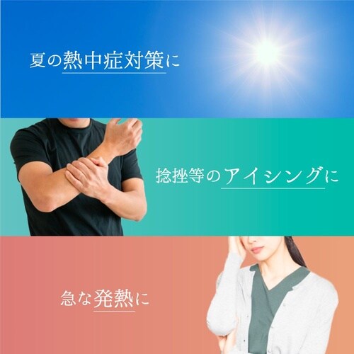 氷のう 朝顔 ベルト付き 1ケース(10