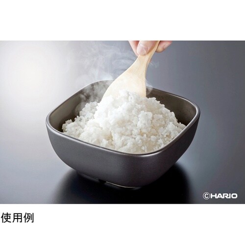 ご飯釜のおひつ GO−2−B−W