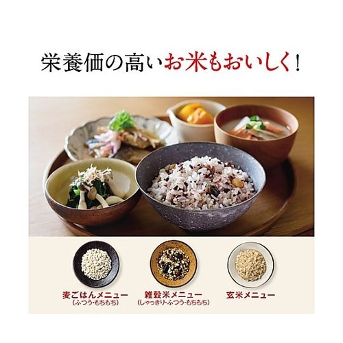 1.0升 圧力IH炊飯ジャー EA763