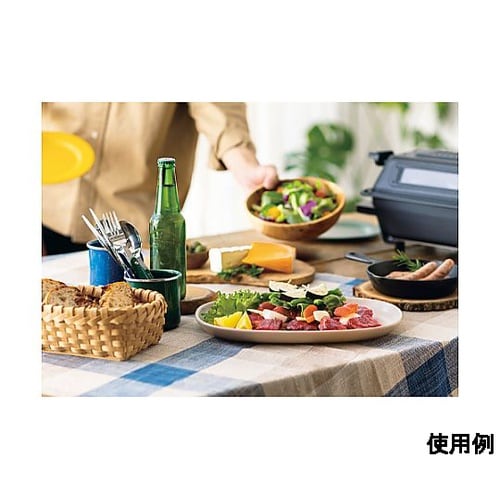 AC100V/1100W マルチロースタ